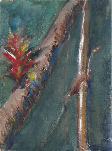 Graphite, Watercolor - 7.5” x 5.5” Bromeliad On Tree in Tropical Jungle