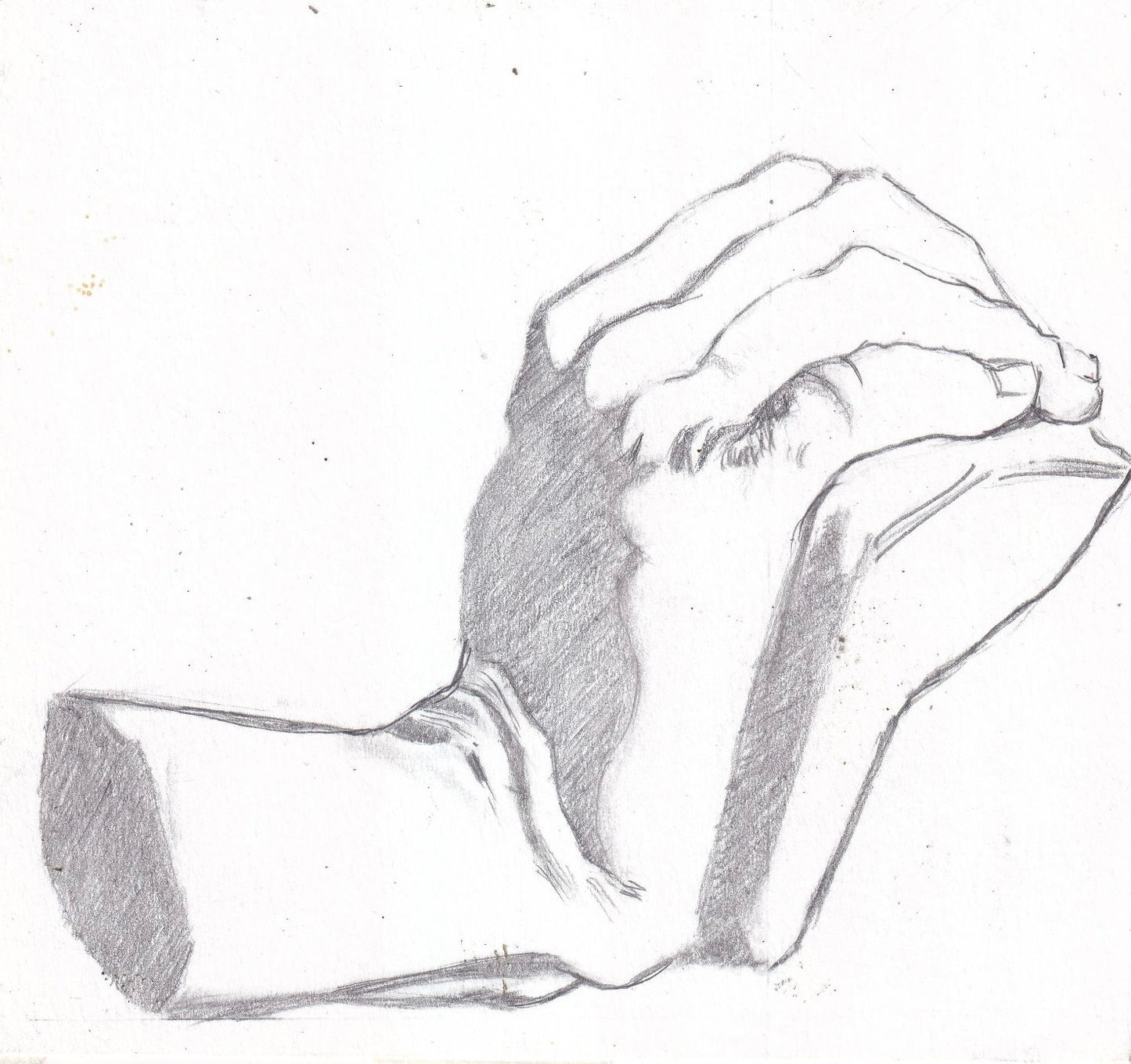 Graphite 5” x 4” Cast Drawing - Roman Hand