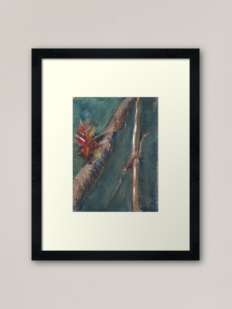 Graphite, Watercolor - 7.5” x 5.5” Bromeliad On Tree in Tropical Jungle