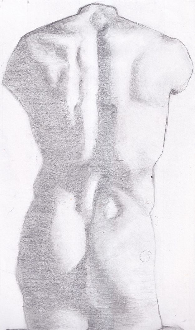 Graphite 14.5” x 10” Cast Drawing - Roman Torso Back View