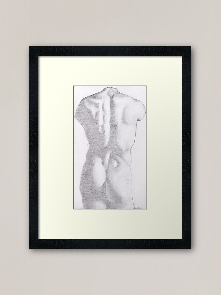 Graphite 14.5” x 10” Cast Drawing - Roman Torso Back View